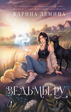 Книга Ведьмы.ру (Карина Демина)