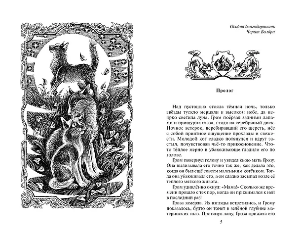 Книга Юность Грома (Эрин Хантер) — 2
