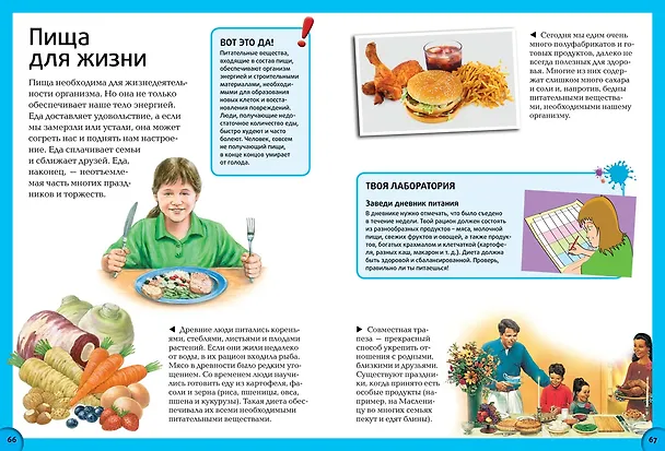 Книга Всё о теле человека () — 2