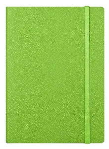 Ежедневник недат. А6+ 160л "Froggy" салатовый, иск.кожа., мягк.переплет, двойное ляссе, резинка, цветоч.срез, In Folio
