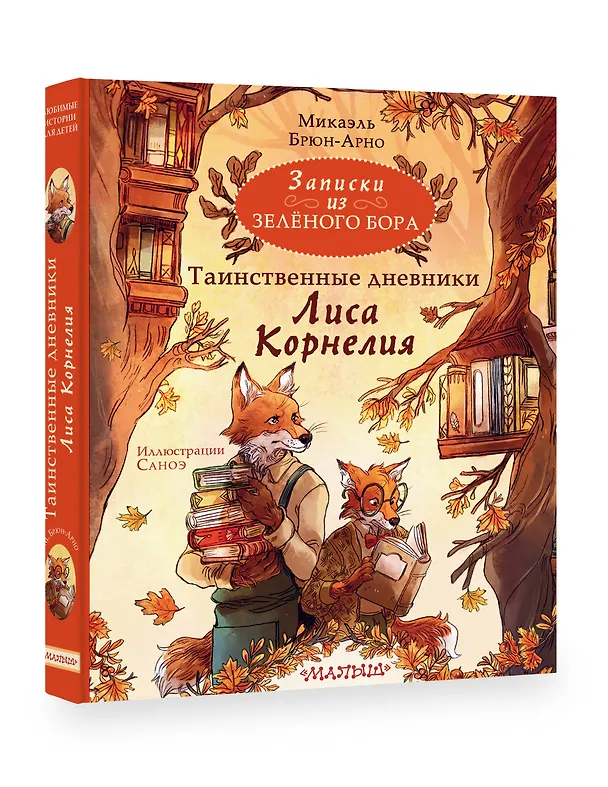 Книга Записки из Зеленого Бора. Таинственные дневники Лиса Корнелия (Микаэль Брюн-Арно) — 4