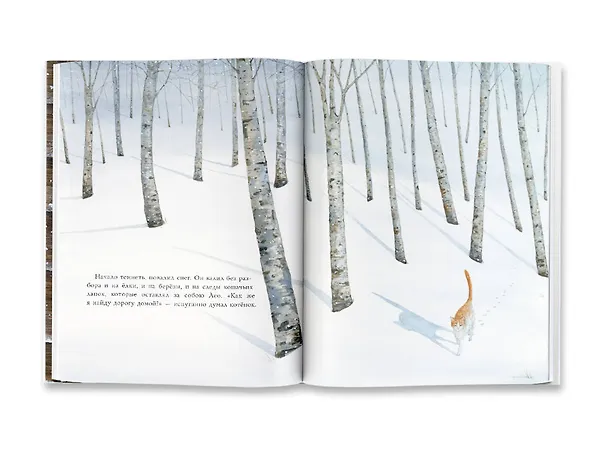 Книга Как котенок друга искал (Феридун Орал) — 9
