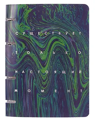 Тетрадь 100л кл. "Настоящий момент" на кольцах, пласт.обл., полноцв.печать, тиснение фольгой Серебро 3084245