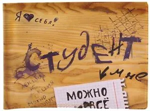 Студенческий билет пластик Можно все 11*8,5 см (488344)