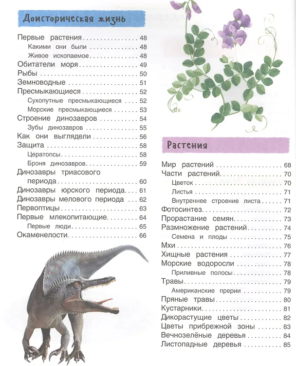 Книга Большая иллюстрированная энциклопедия. новая (Фрэн Бромаж) — 3