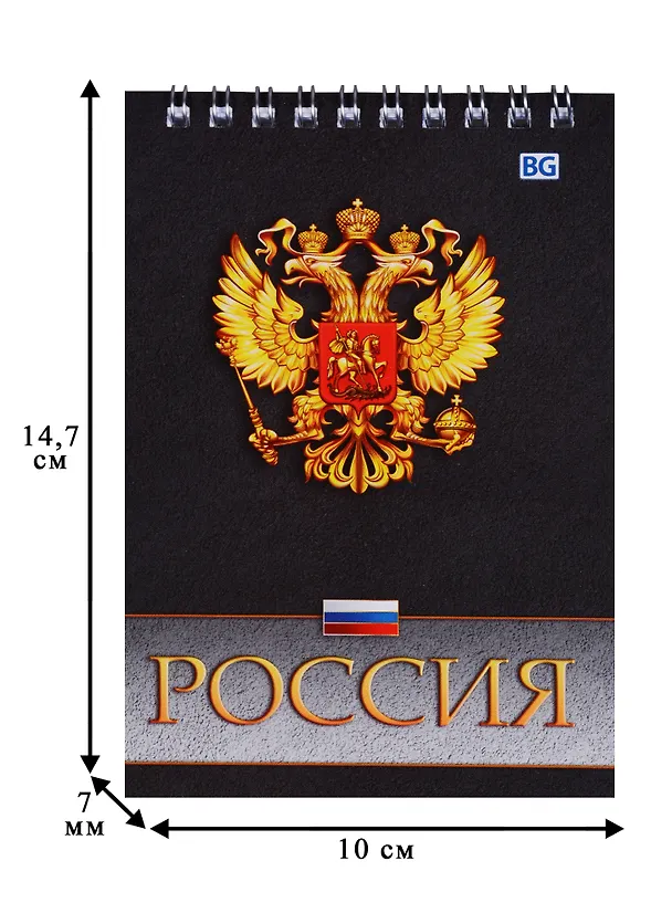 Блокнот А6 60 листов клетка "Россия госсимволика" 245841 — 4