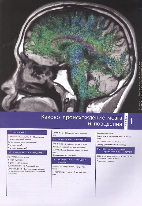 Книга Мозг и поведение. Введение (Брайн Колб, Иэн К. Уишоу) — 3