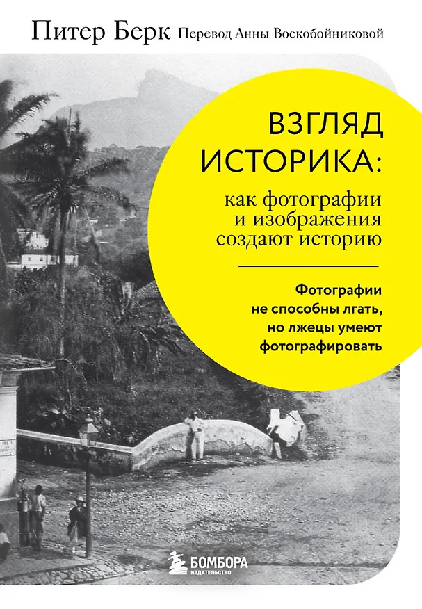 Книга Взгляд историка: как фотографии и изображения создают историю (Питер Берк) — 1