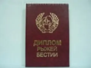 Диплом рыжей бестии (AE0000625) (Мастер)
