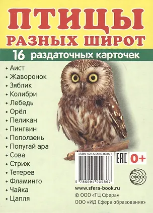 Книга Демонстрационные картинки СУПЕР Птицы разных широт.16 раздаточных карточек с текстом (63х87 мм) ()