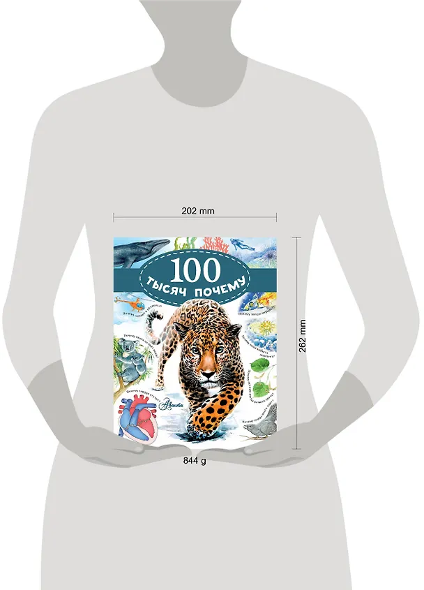 Книга 100 тысяч почему (Виктор Альтшулер) — 8
