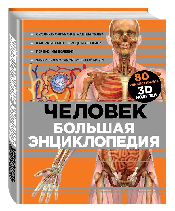 Книга Человек Большая энциклопедия (КЭРаб) (супер) (Ю. Лаврова) — 4