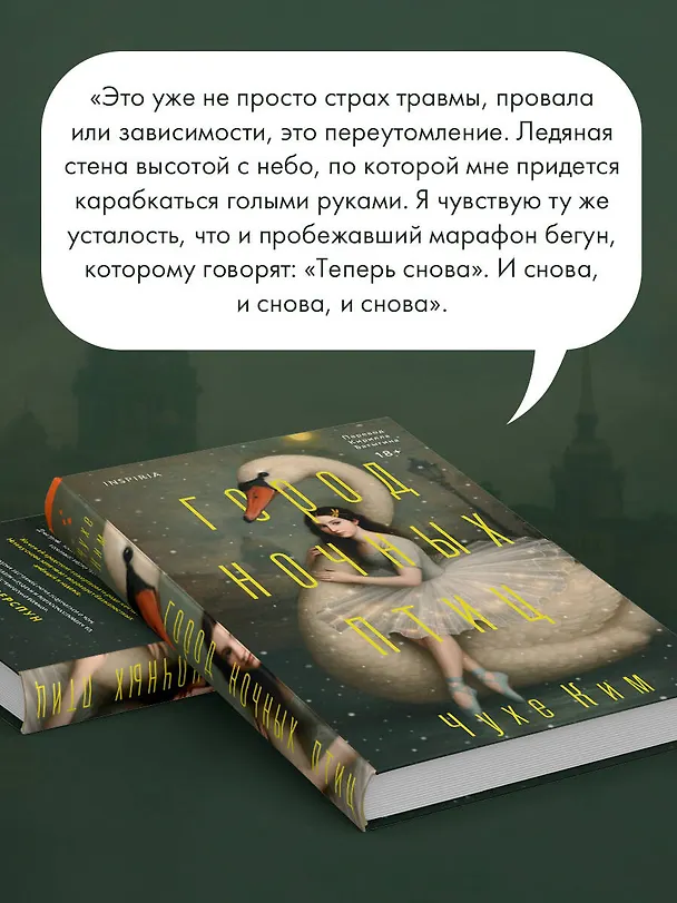 Книга Город ночных птиц (Чухе Ким) — 10