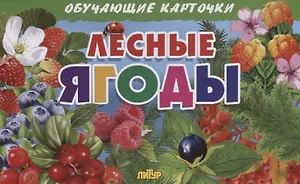 Лесные ягоды. Обучающие карточки