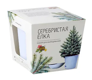 Набор д/выращивания растений Магия Цветов, Серебристая Ёлка (mf-016)