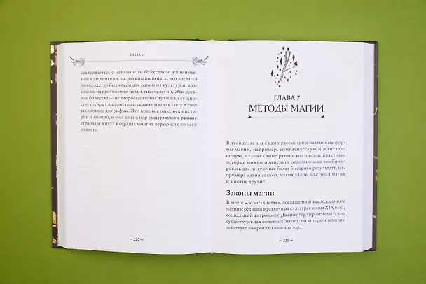 Книга Spellcrafting. Как создавать и творить свои собственные чары и увеличить силу своей магии (Эрин Мёрфи-Хискок) — 6