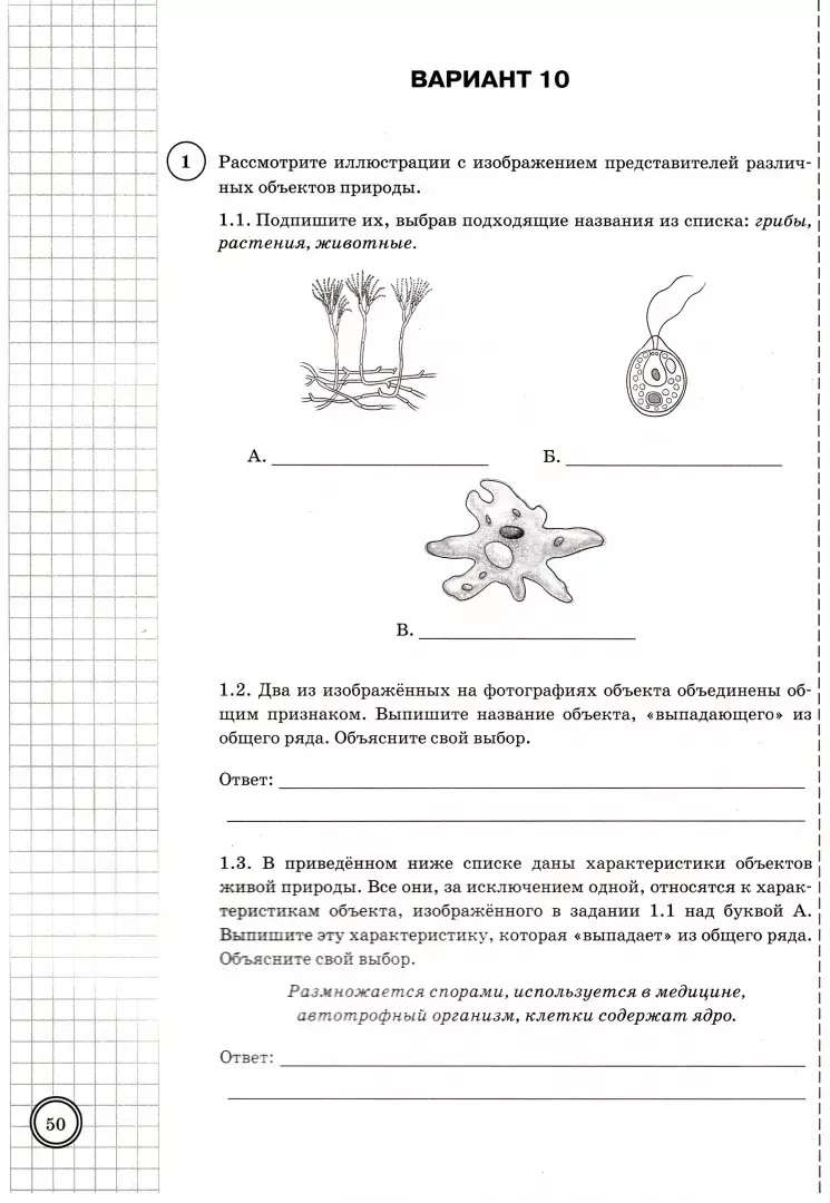 Биология. Всероссийская проверочная работа. 5 класс. Типовые задания. 25  вариантов заданий. Подробные критерии оценивания. Ответы (Н. Банникова,  Юлия Касаткина, Александр Шариков) - купить книгу с доставкой в  интернет-магазине «Читай-город». ISBN: 978 ...