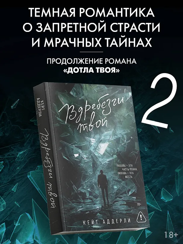 Книга Вдребезги твой (Кейт Аддерли) — 6