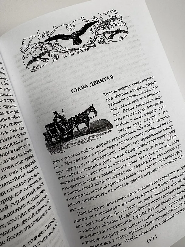Книга Обрученные (Алессандро Мандзони) — 13