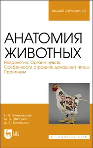 Анатомия животных. Неврология. Органы чувств. Особенности строения домашней птицы. Практикум. Учебное пособие для вузов
