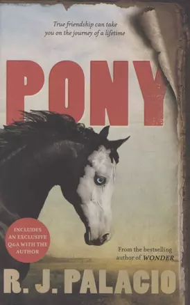 Pony — 2891285 — 1