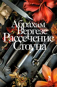Рассечение Стоуна. Роман