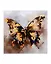 Холст с красками по номерам с золотой поталью "Золотая бабочка", 40 х 40 см — 3026607 — 1