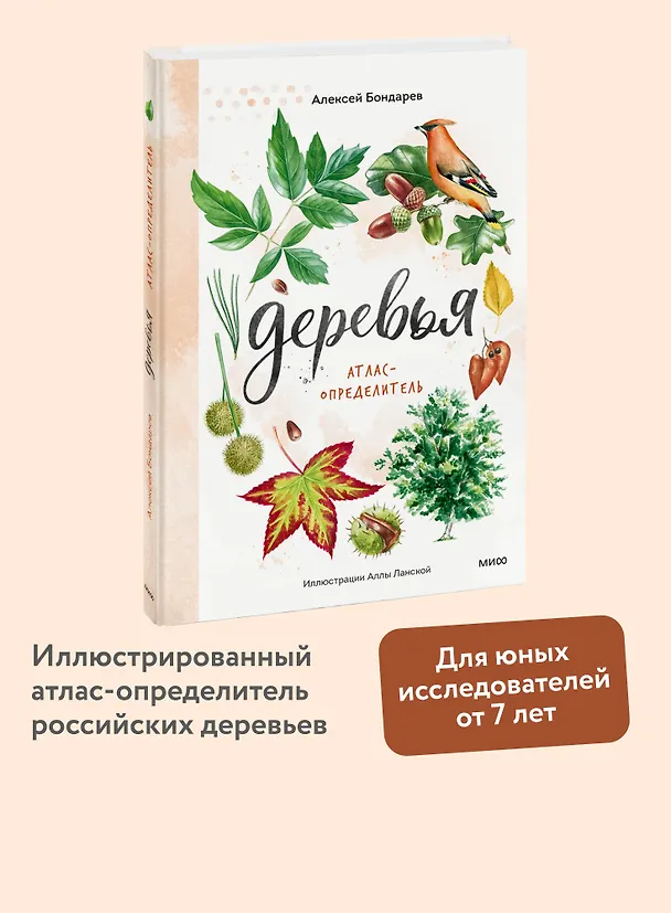 Книга Деревья. Атлас-определитель (Алексей Бондарев) — 4