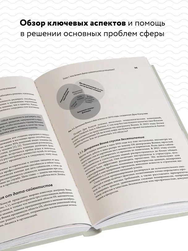 Книга Как быть успешным в Data Science. Эффективное управление проектами и развитие профессиональной команды (Цзике Чонг, Юэ Чанг) — 6