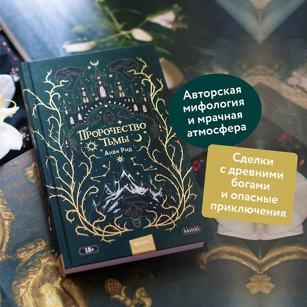 Книга Пророчество тьмы (Анви Рид) — 5