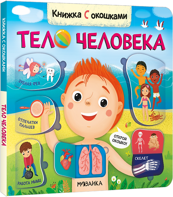 Книга Книжка с окошками. Тело человека () — 1