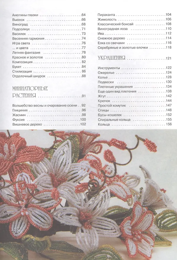 Книга Бисер (Донателла Чиотти) — 3