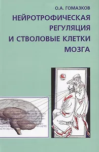 Нейротрофическая регуляция и стволовые клетки мозга