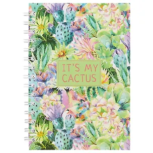 Тетрадь в клетку Hai Bin, Blooming cactus, 96 листов 245089
