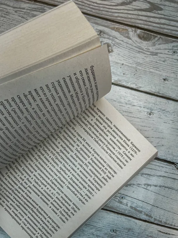 Книга Введение в буддизм (Евгений Торчинов) — 9