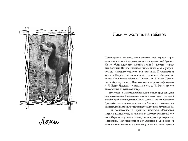 Книга Собаки книжного магазина на краю света (Рут Шоу) — 17