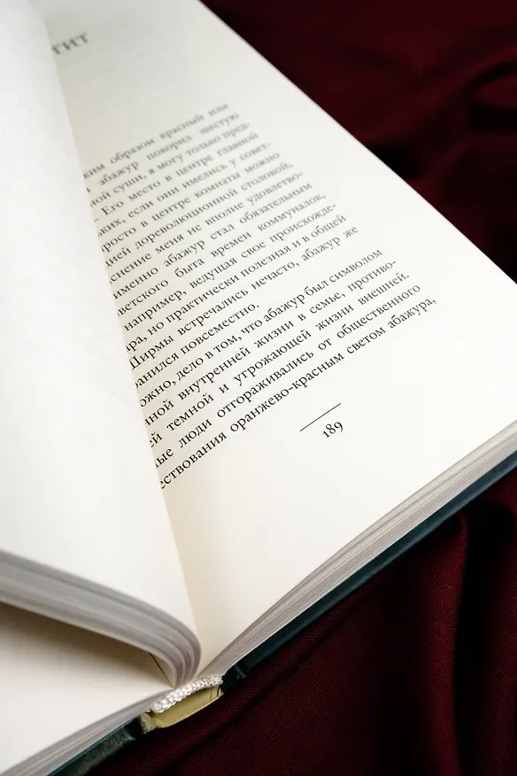 Книга Камера хранения. Мещанская книга (Александр Кабаков) — 14