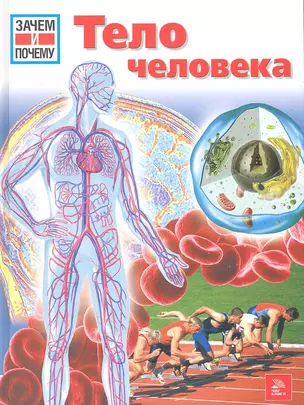 Тело человека (ЗиП) (Мир ) — 2301300 — 1