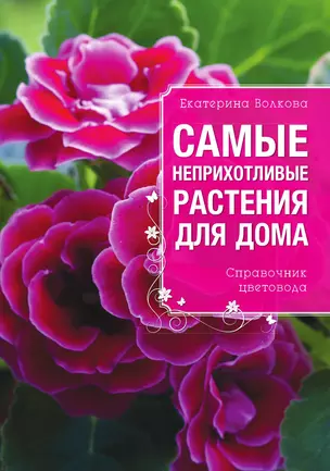 Самые неприхотливые растения для вашего дома — 3013275 — 1