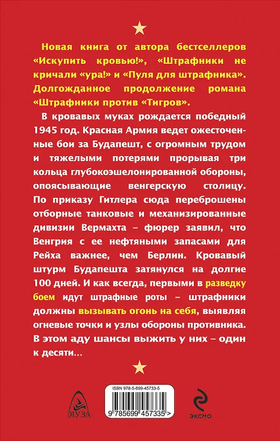 Книга Штрафники вызывают огонь на себя. Разведка боем (Роман Кожухаров) — 2