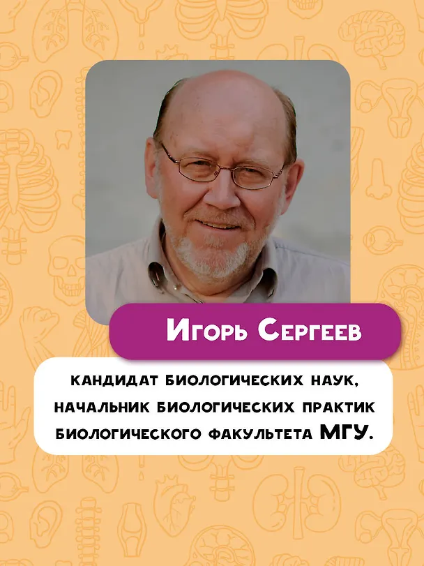 Книга Тело человека (Вячеслав Дубынин) — 10