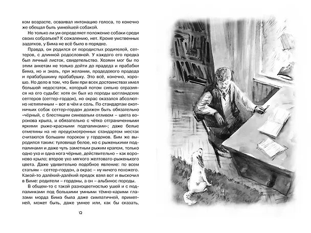 Книга Белый Бим Чёрное ухо (Гавриил Троепольский) — 10