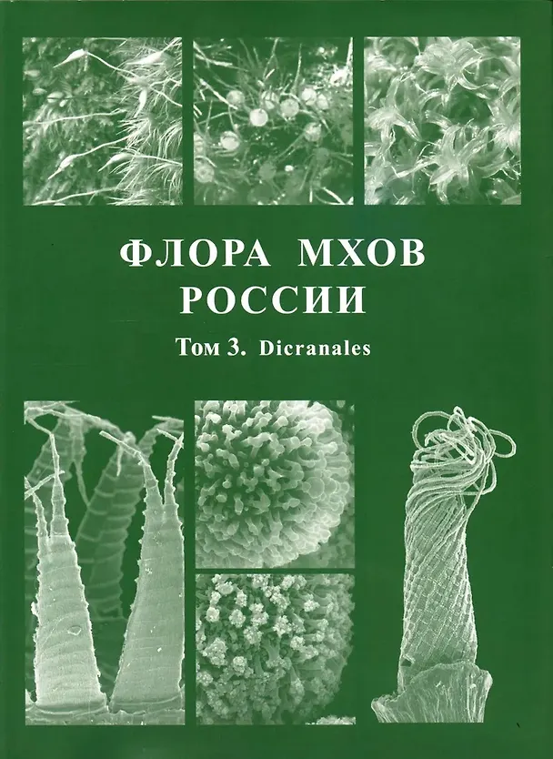 Книга Флора мхов России. Том 3 (Михаил Игнатов) — 1