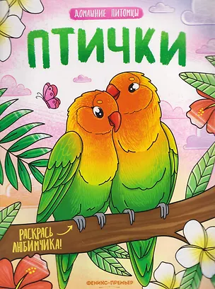 Книга Птички: книжка-раскраска ()
