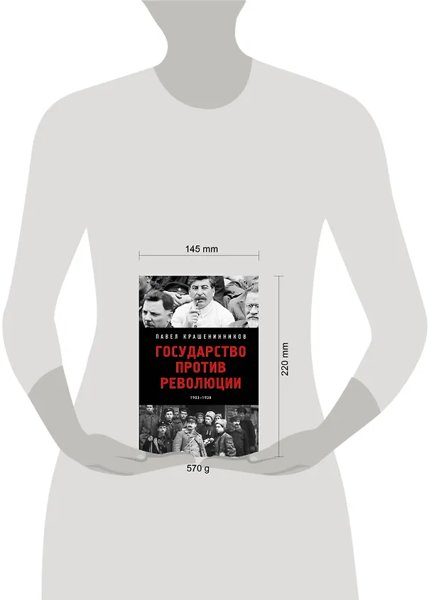 Книга Государство против революции (Павел Крашенинников) — 11