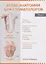 Атлас анатомии для стоматологов. Том 1. Общая анатомия. Голова — 2958112 — 1