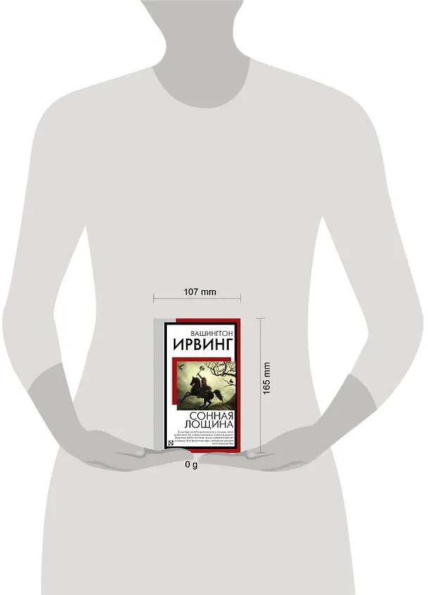 Книга Сонная Лощина (Вашингтон Ирвинг) — 11