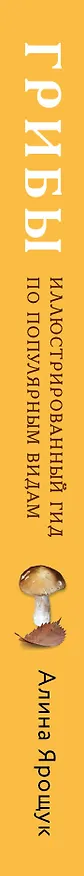 Книга Грибы. Иллюстрированный гид по популярным видам (Алина Ярощук) — 3
