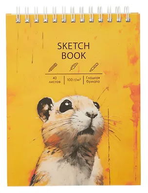 Скетчбук А6+ 40л "Суслик" 100г/м2, мат.ламинация, евроспираль, 7БЦ, офсет 3069345