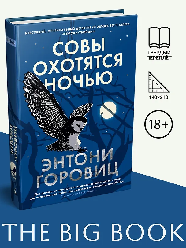 Книга Совы охотятся ночью (Энтони Горовиц) — 4